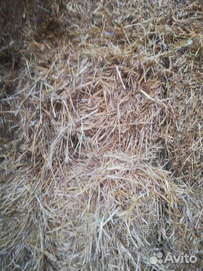 Сено и солома в тюках
