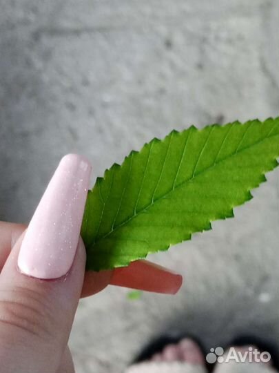 Маникюр педикюр на дому