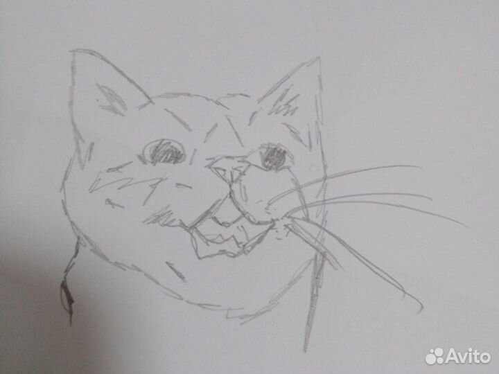 Я рисую ваших животных