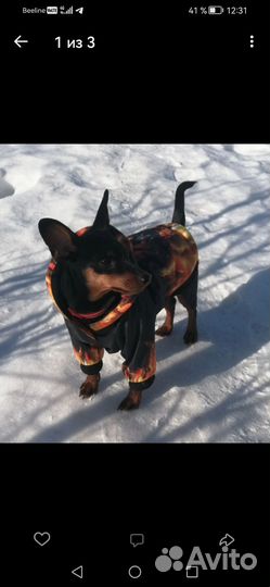 Бомбическая курточка