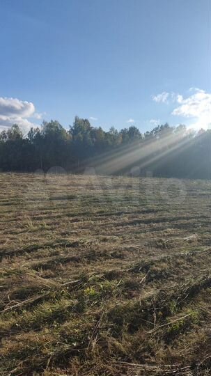 Участок 3 га (СНТ, ДНП)