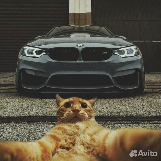 Ремонт автомобилей