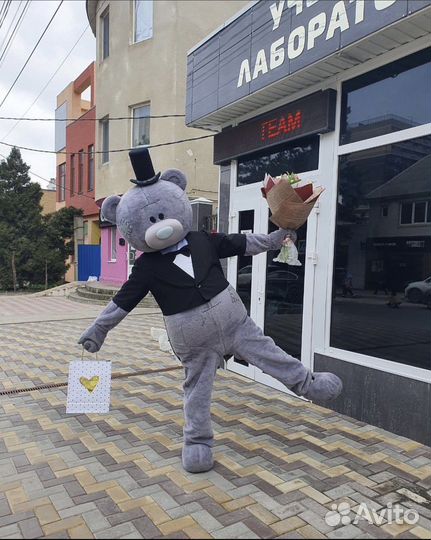 Поздравление мишка тедди