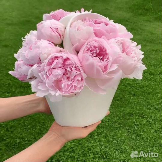 Слушатель, собеседник, подруга на час