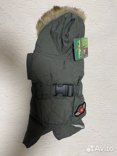 Одежда для животных