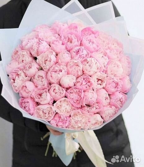 Пионы Букет пионов