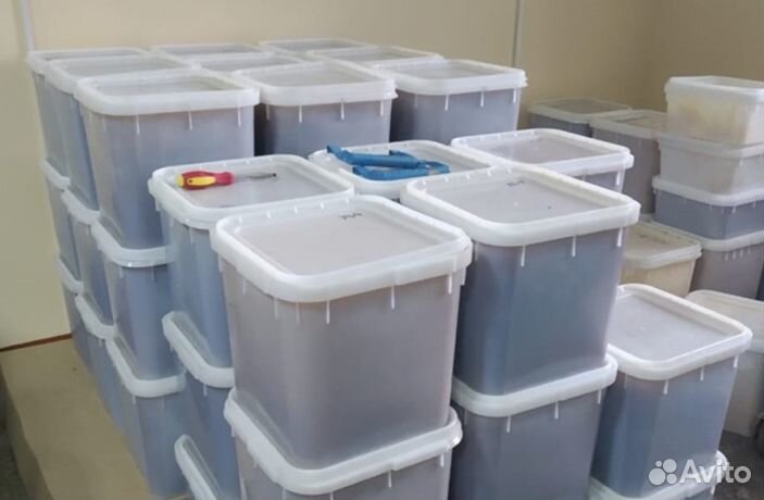 Мёд натуральный с Алтая опт от 16кг