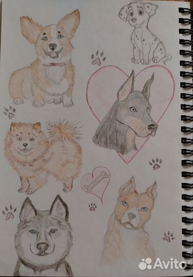 Рисунки на заказ по фото