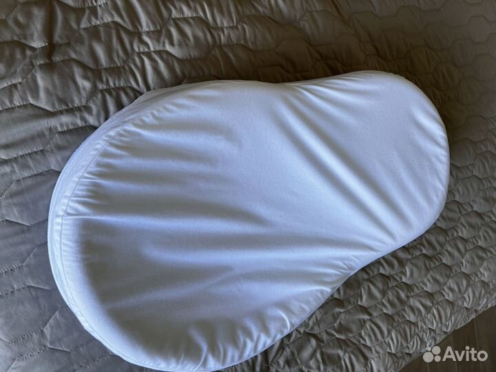 Кокон зевушка в отличном состоянии