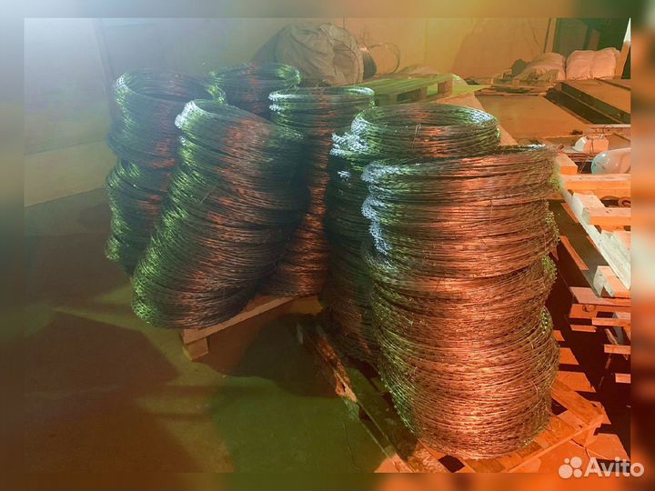 Колючая проволока егоза