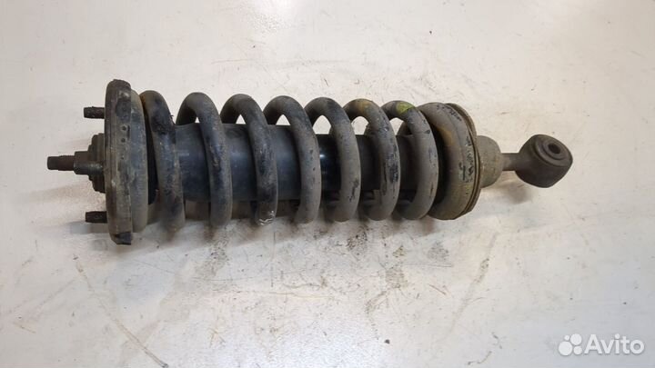 Амортизатор подвески Nissan Navara, 2009