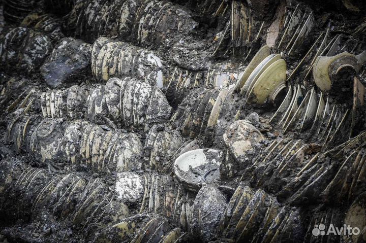 XP Deus 22X35 металлоискатель +блок +ws4 в Твери