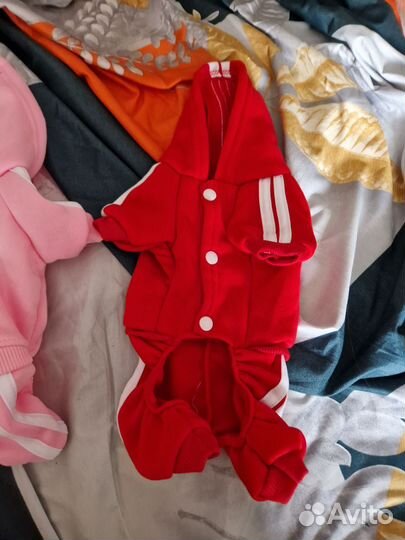 Одежда для собак мелких пород девочек