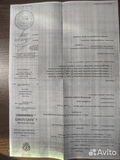 Остеопат, кинезиолог, костоправ, целитель