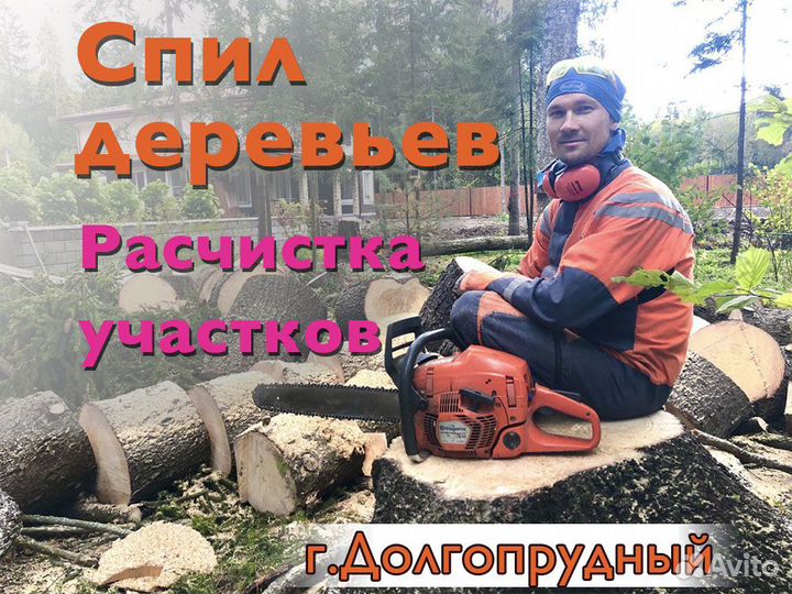 Спил деревьев