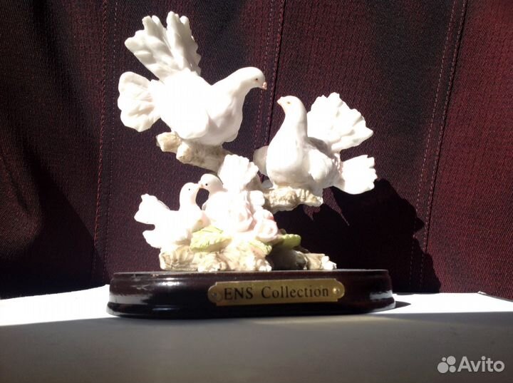 Голуби- счастливая семейка