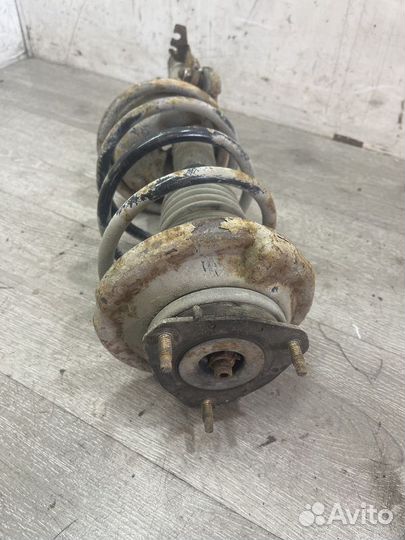 Амортизатор передний правый Ford Focus