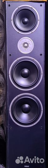 Magnat monitor supreme 2000