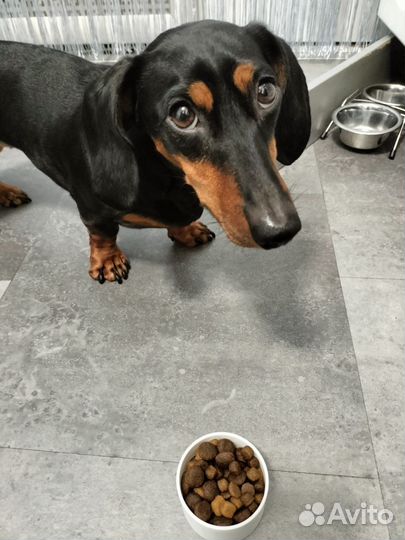 Мерная емкость для корма