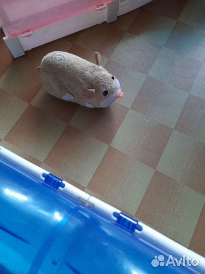 Интерактивный хомячок