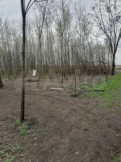 Участок 1,83 га (СНТ, ДНП)