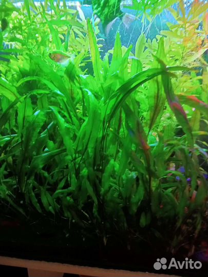 Украшение для аквариума