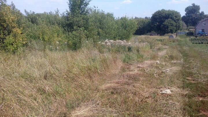 Участок 32 сот. (ИЖС)