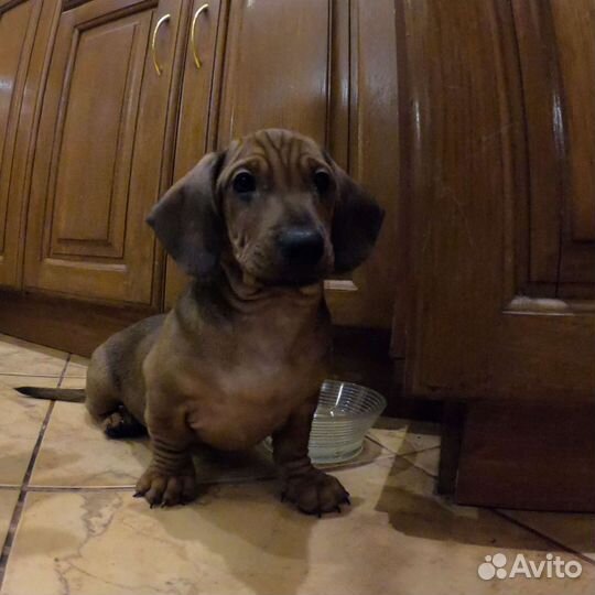 Ремонт пластиковых окон и дверей