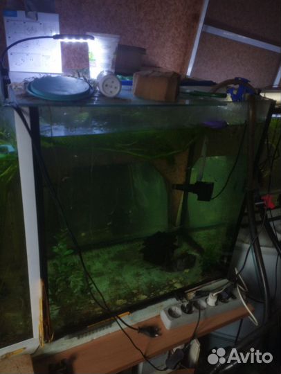 Аквариумы 140 и 180 литров / коряга мангровая