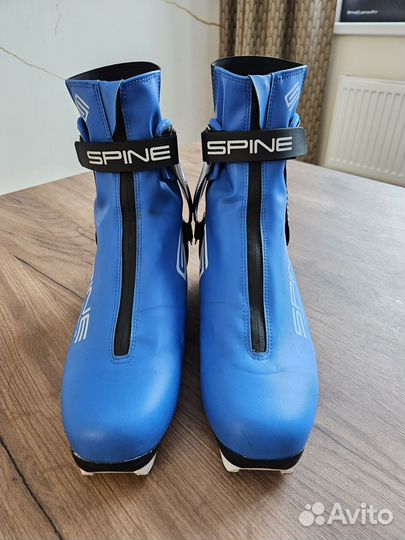 Лыжные ботинки spine carrera skate