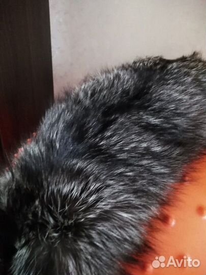 Цельная шкура чернобурой лисы