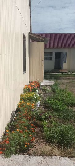 Гостиница, 100 м²