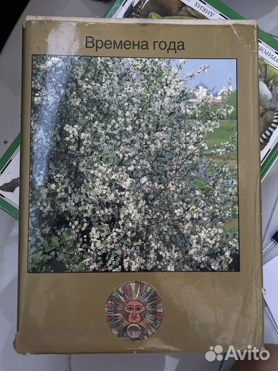 Книга времена года
