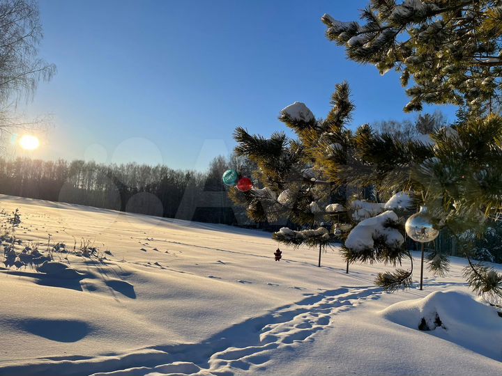 Участок 12 сот. (СНТ, ДНП)