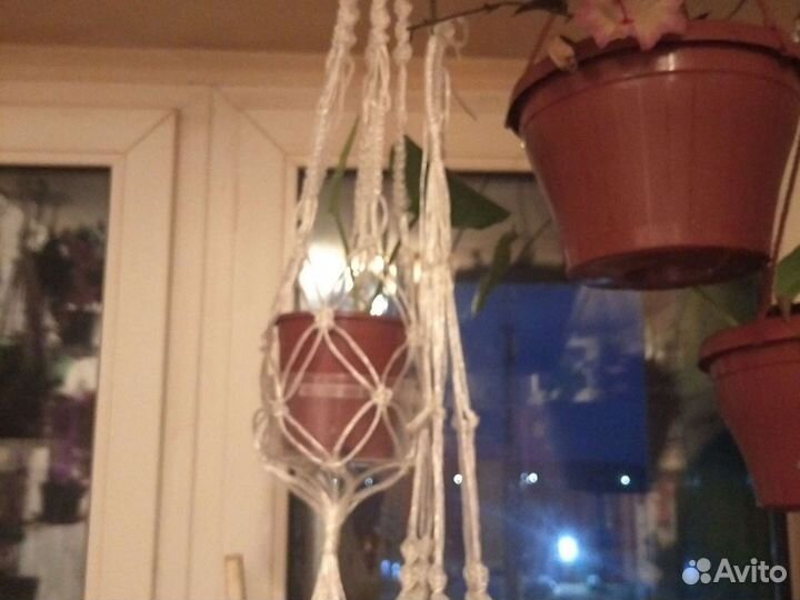 Макраме кашпо, цветы горшечные