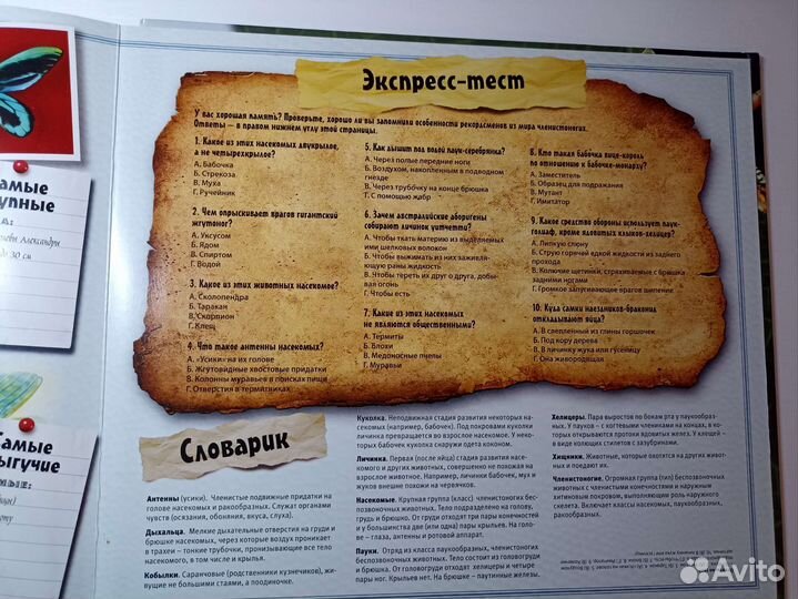 Насекомые книга