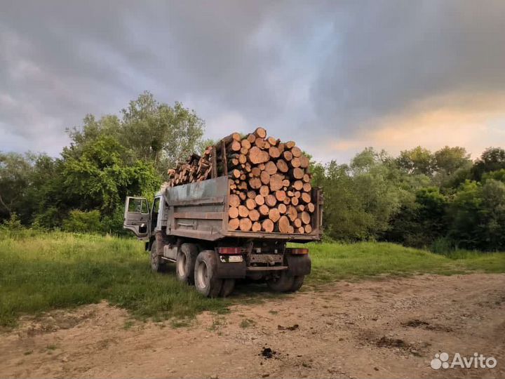 Дрова дубовые с доставкой Камаз