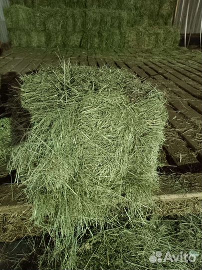 Сено в тюках