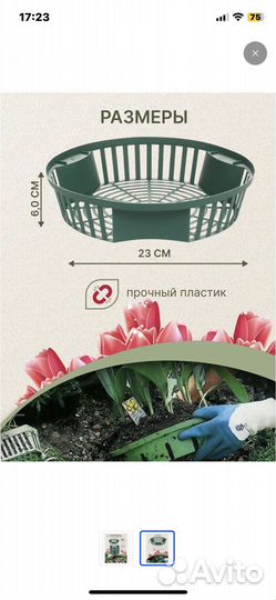 Корзина для луковичных цветов