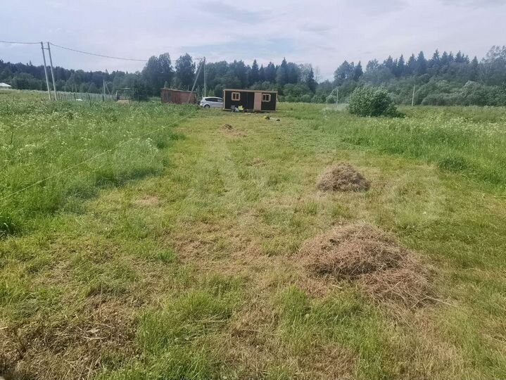 Участок 8 сот. (СНТ, ДНП)