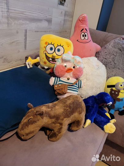 Капибара, миньоны, котики, шлепа, губка Боб, тигр