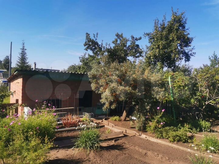 Участок 5,2 сот. (СНТ, ДНП)