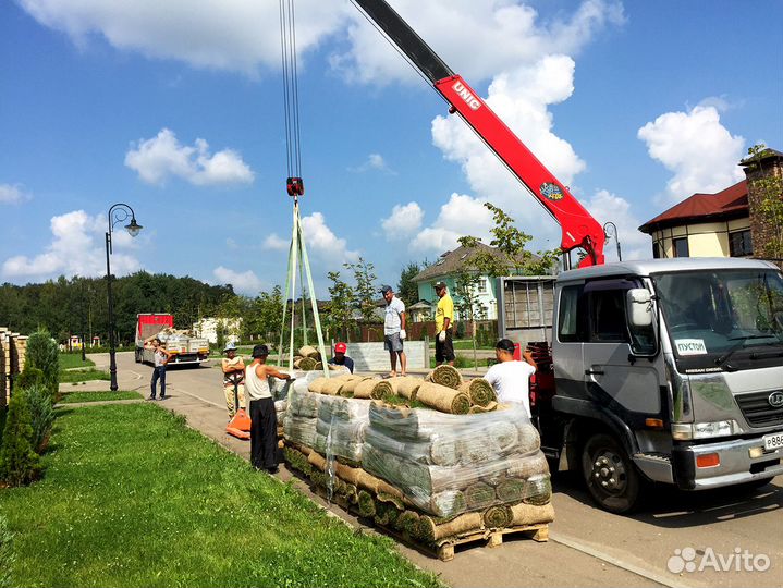 Рулонный газон с доставкой