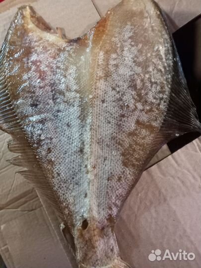 Камбала ерш вяленый и филе ерша