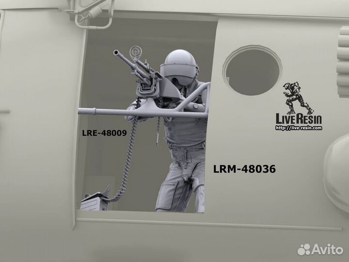 Миниатюра Live Resin LRM48036