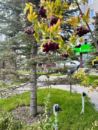 1-к. квартира, 44,1 м², 2/9 эт.