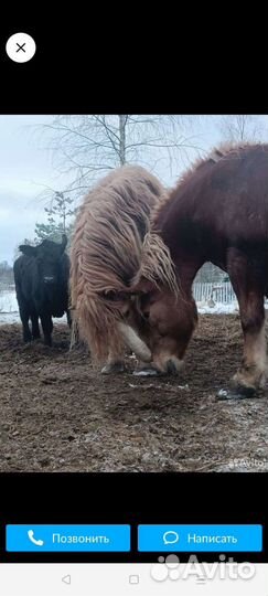 Экологически чистый перегной