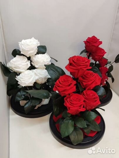 Розы оптом