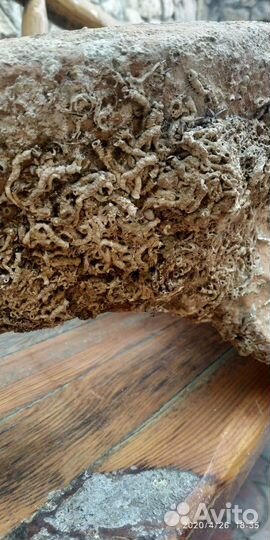 Пифос горло