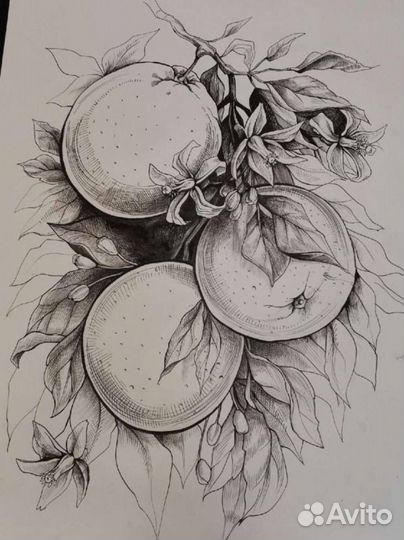 Репетитор изо